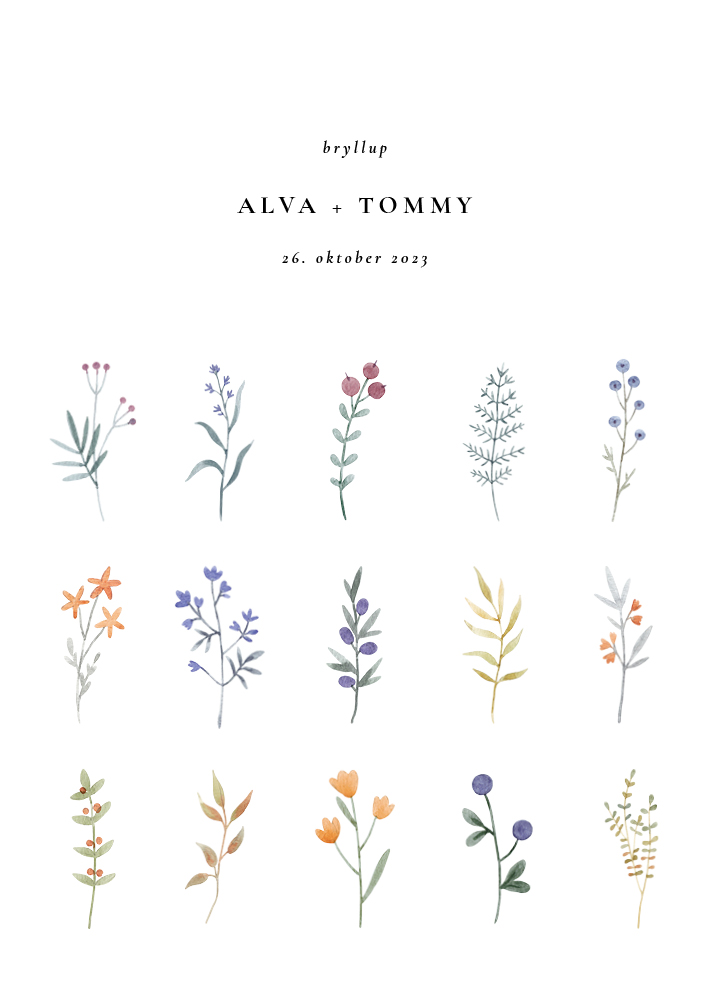 Bohème - Alva & Tommy